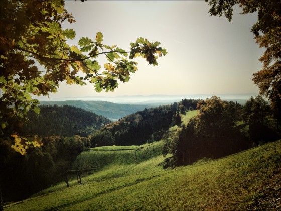 Herbst