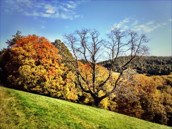 Herbst