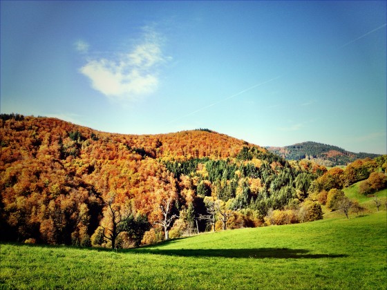 Herbst