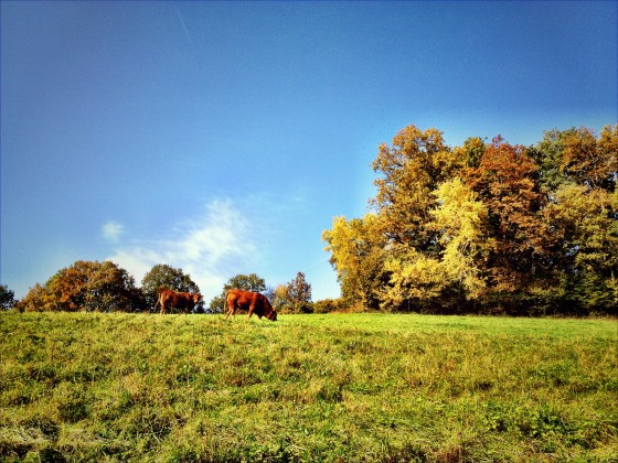 Herbst