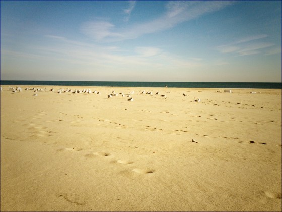 Point Pleasant Beach