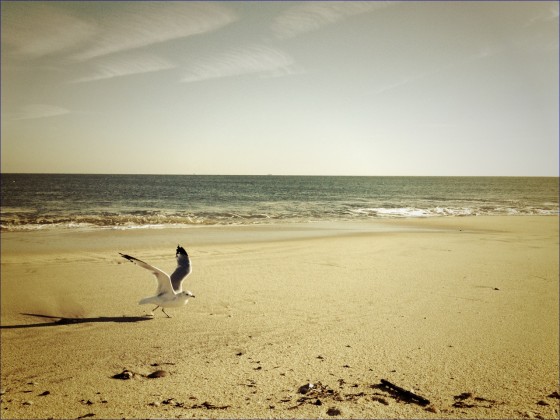 Point Pleasant Beach