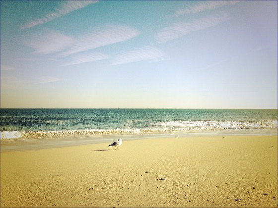 Point Pleasant Beach