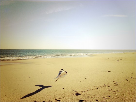 Point Pleasant Beach