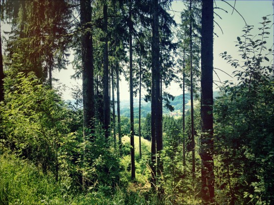 Südschwarzwald