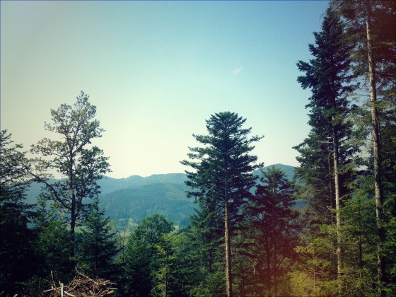 Südschwarzwald