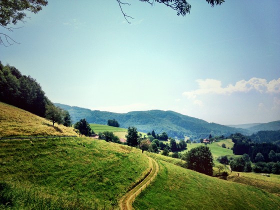 Südschwarzwald