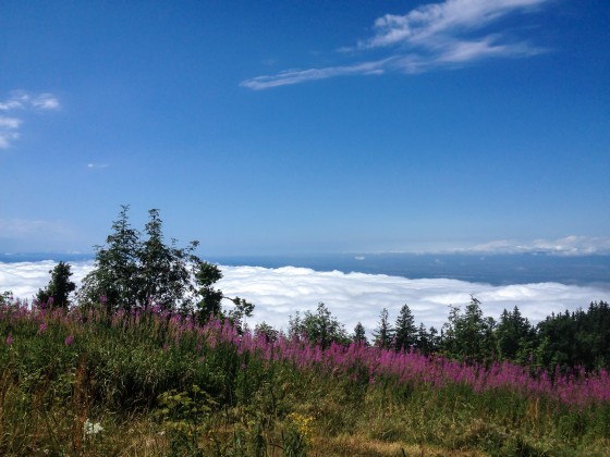 Hochblauen