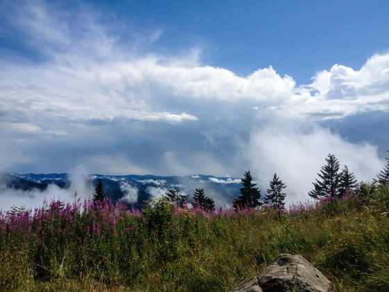 Hochblauen