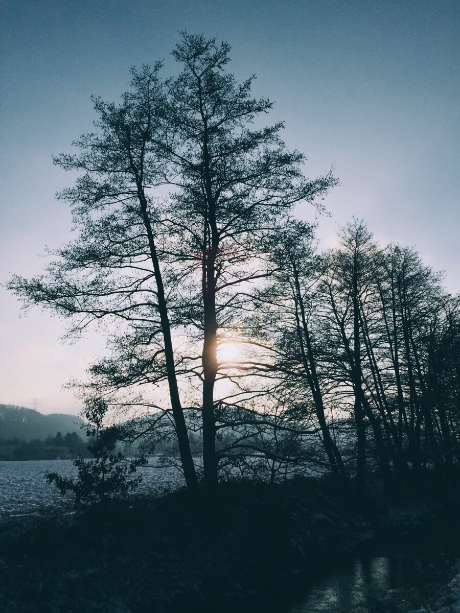 Neujahr
