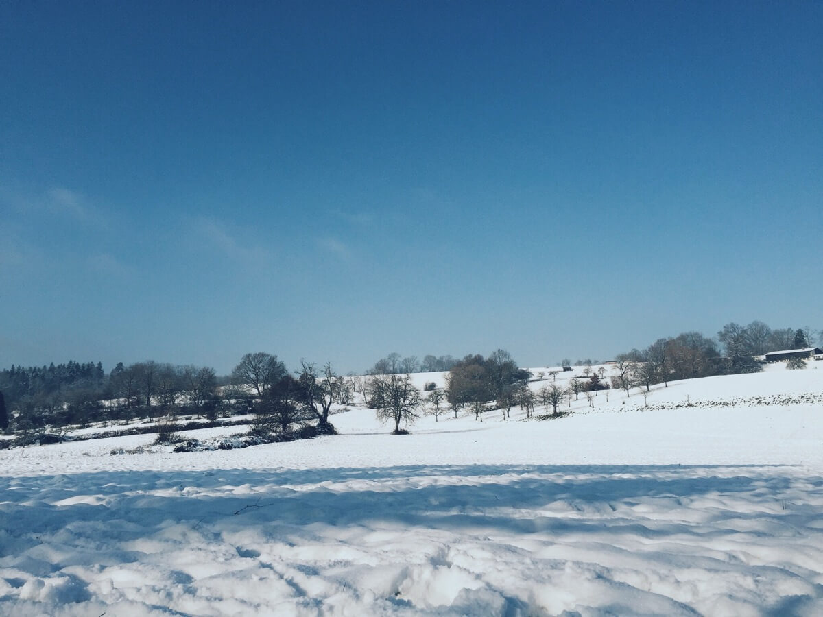 Winterlandschaft