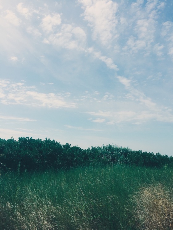 Strand | Beach