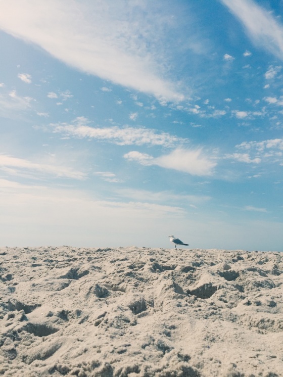 Strand | Beach