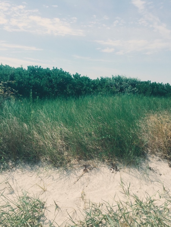 Strand | Beach