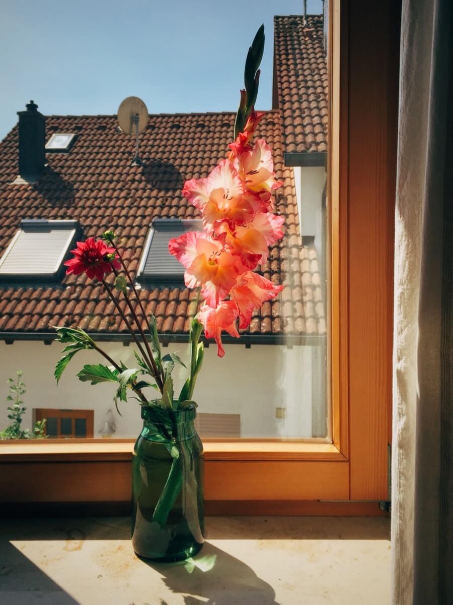 Sommerblumen | Summer Flowers