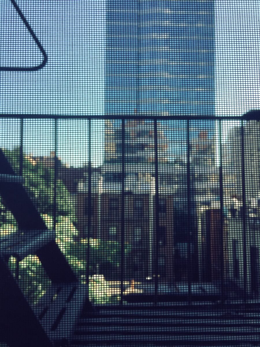 New York City Morning