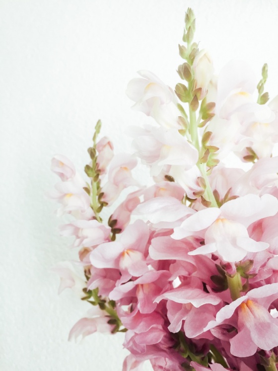 Summer flowers