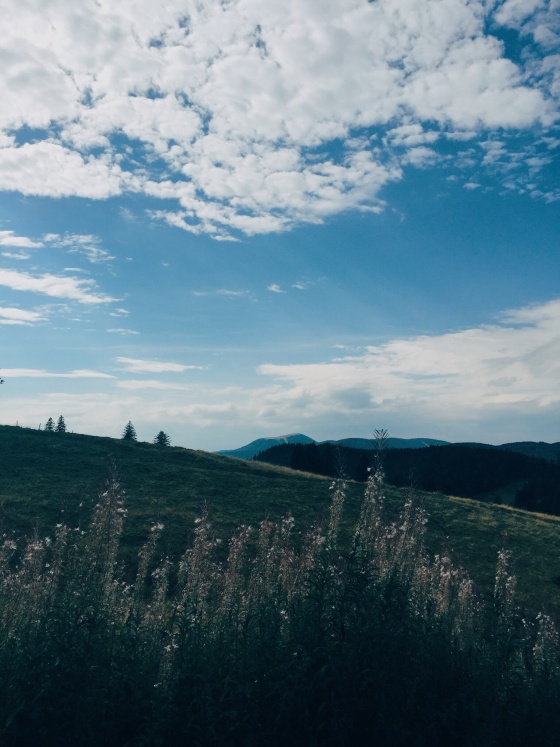Black Forest Hiking