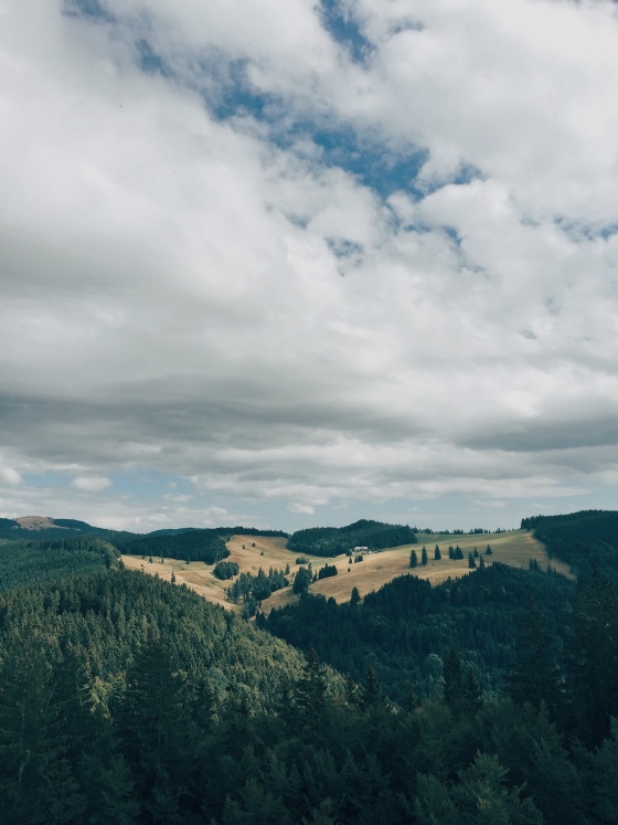 Black Forest Hiking