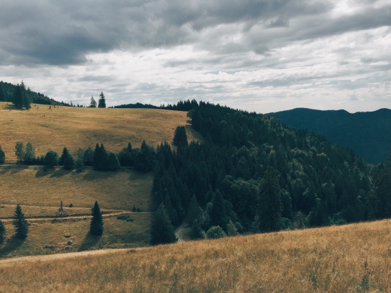 Black Forest Hiking