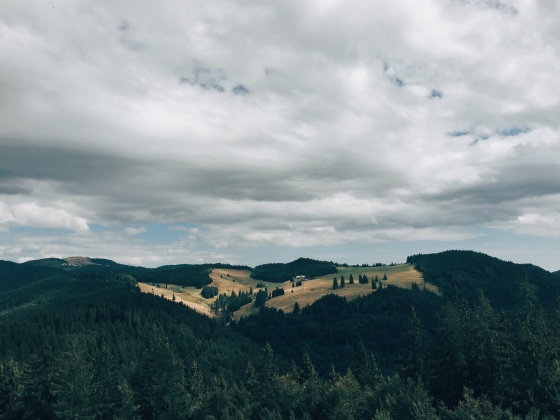 Black Forest Hiking