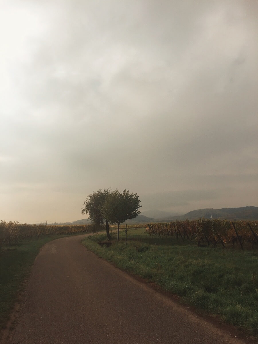 Sunday morning in France