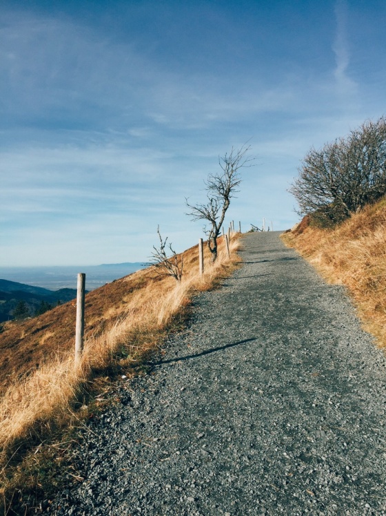 Black Forest Hiking