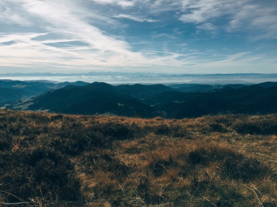 Black Forest Hiking