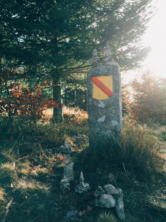 Black Forest Hiking