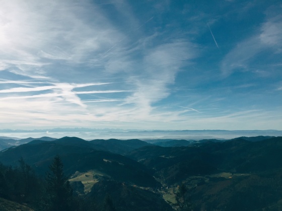 Black Forest Hiking