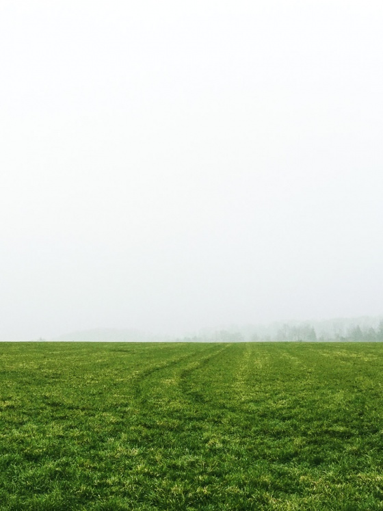 Emptiness