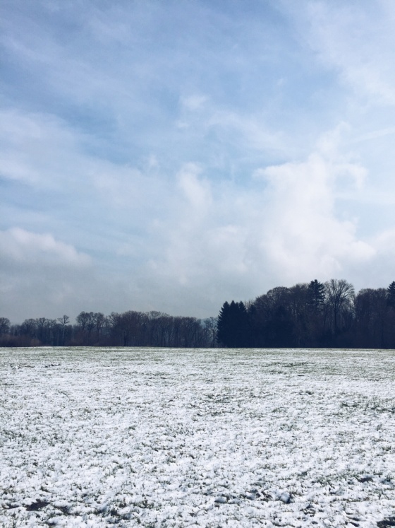 The only white so far