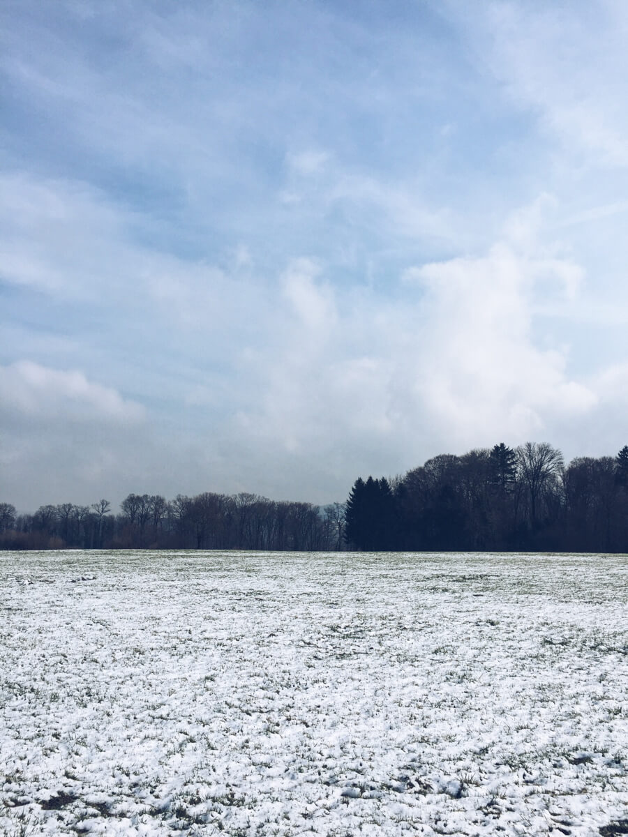 The only white so far