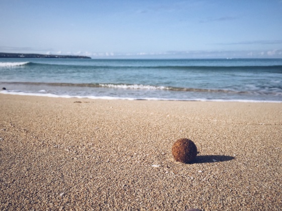Early morning at the beach