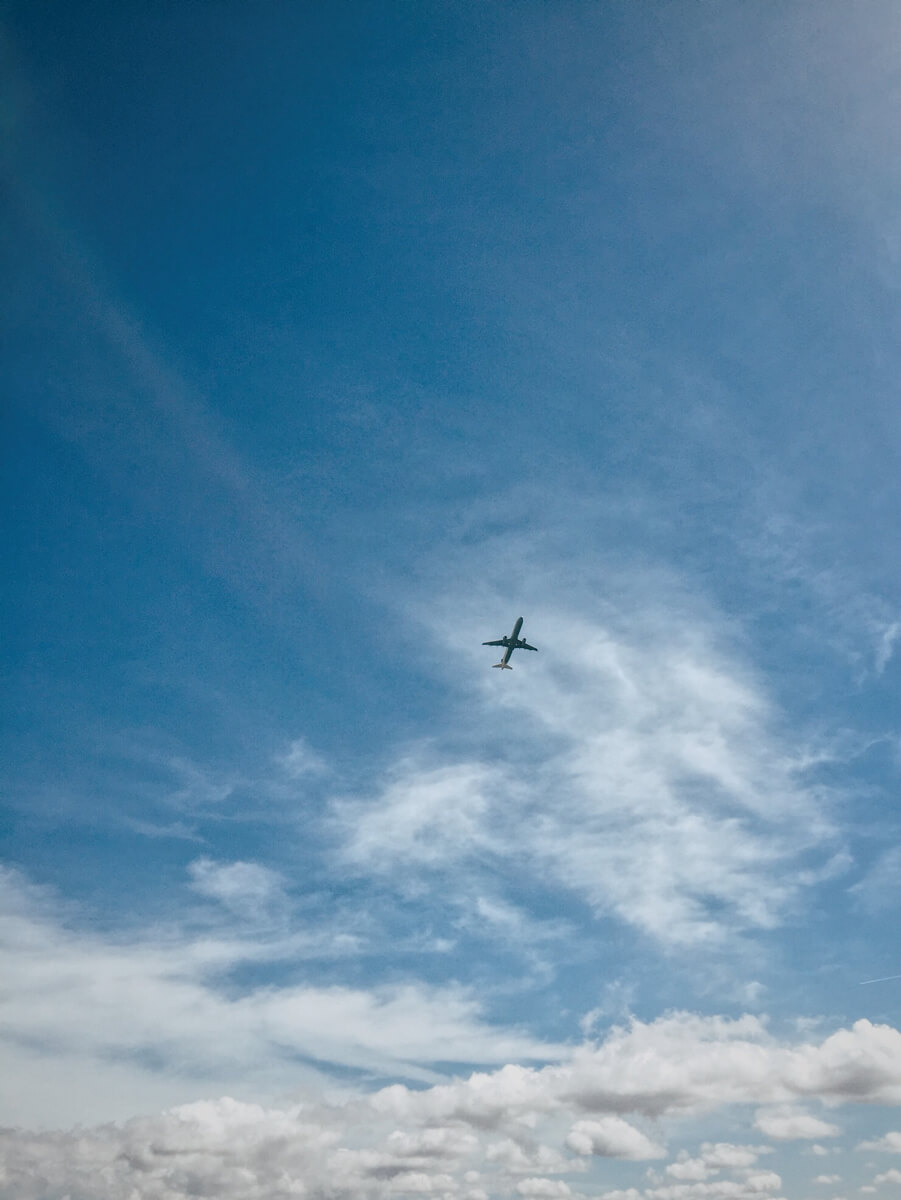 Flying away