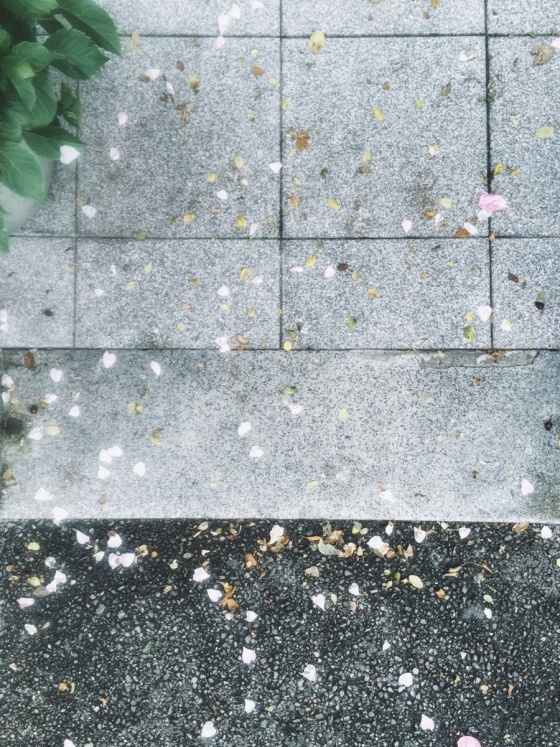 Coming home in spring