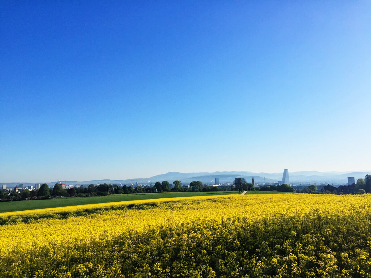 Spring and the city