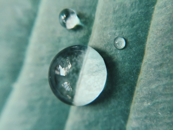 After the rain