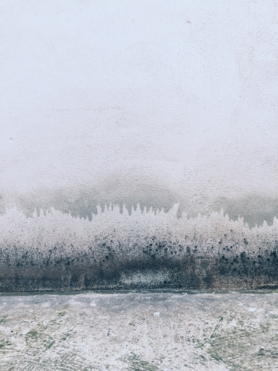 Wallpainting