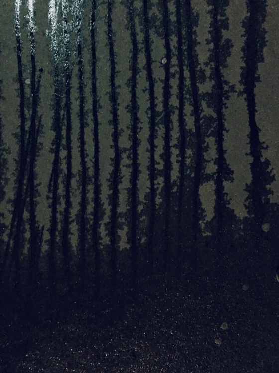 Night Rain
