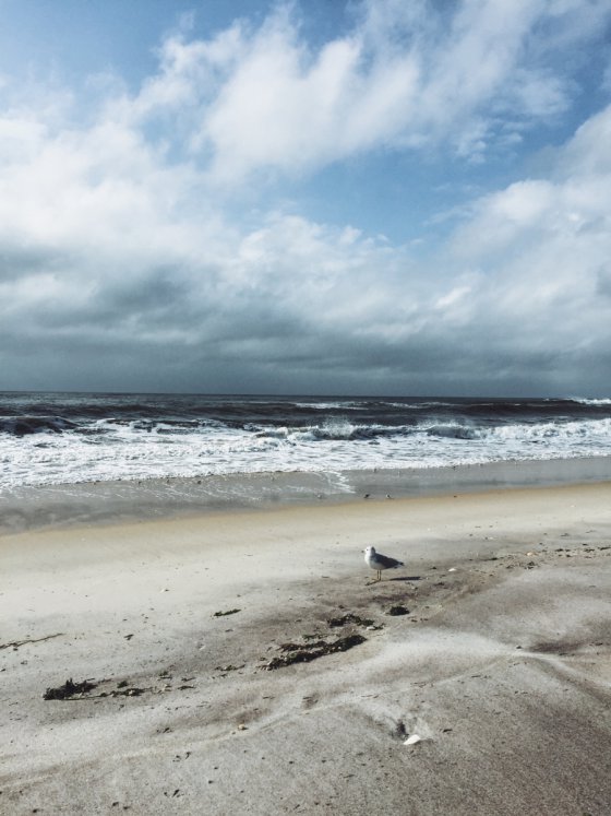 Ocean