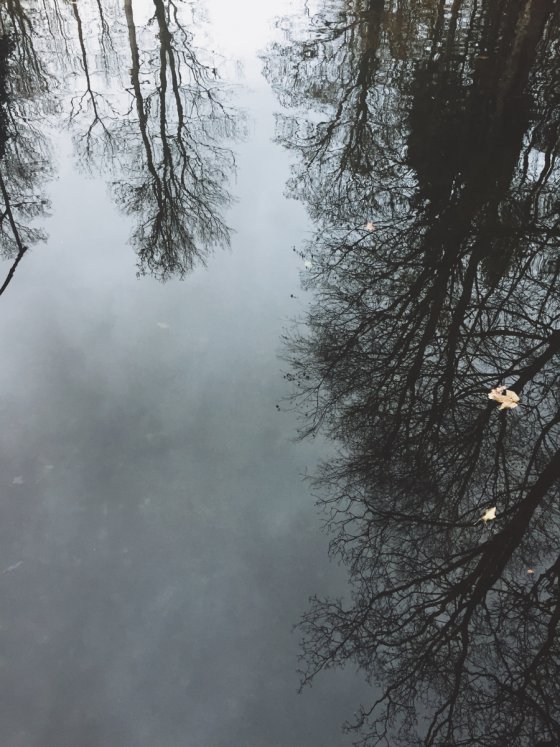 Gray December