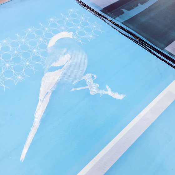 Silk Screen Printing