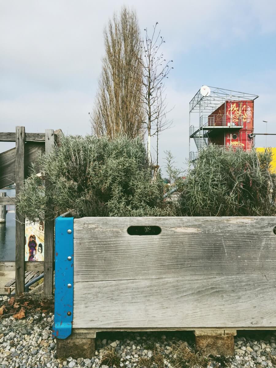 Dreaming of Summer Nights