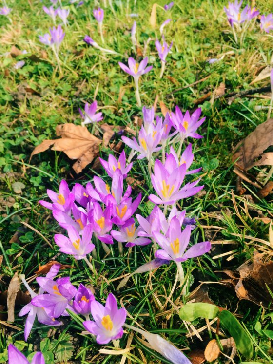 Spring is here