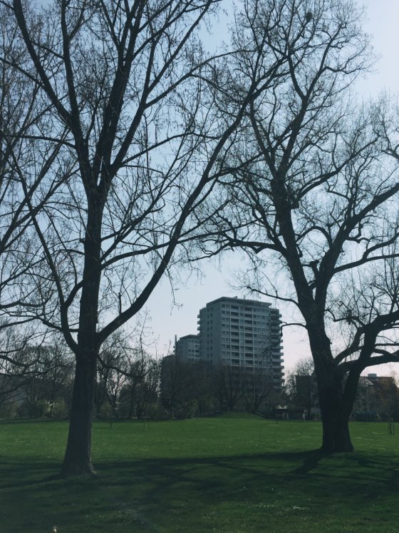 Springtime