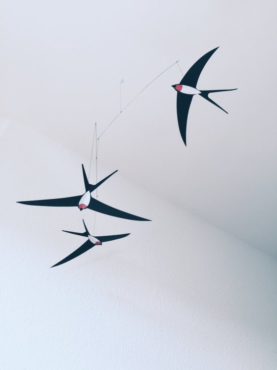 Swallows