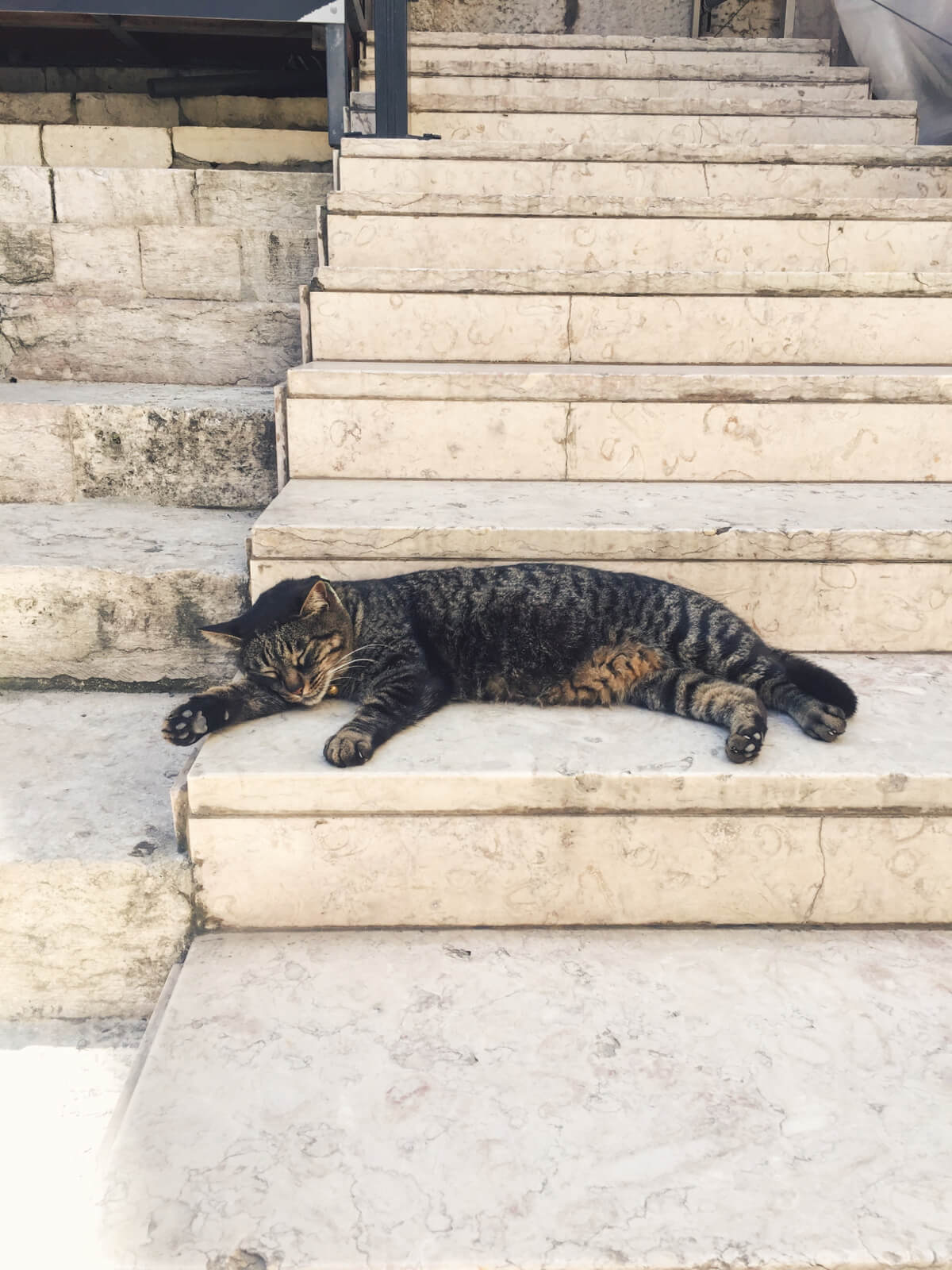The nap