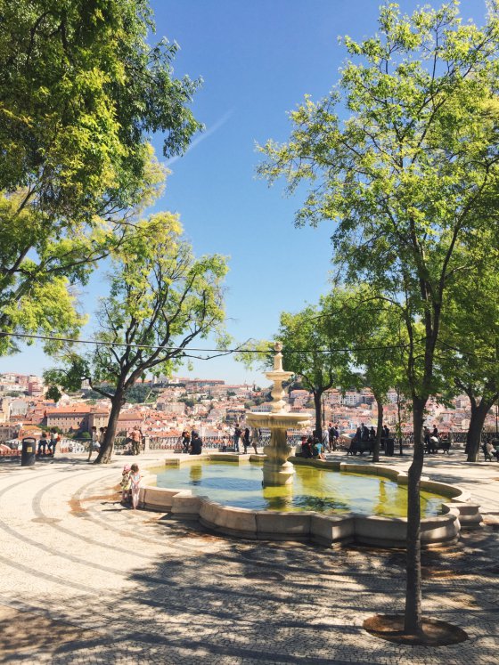 Miradouro de São Pedro de Alcântara, Lisbon