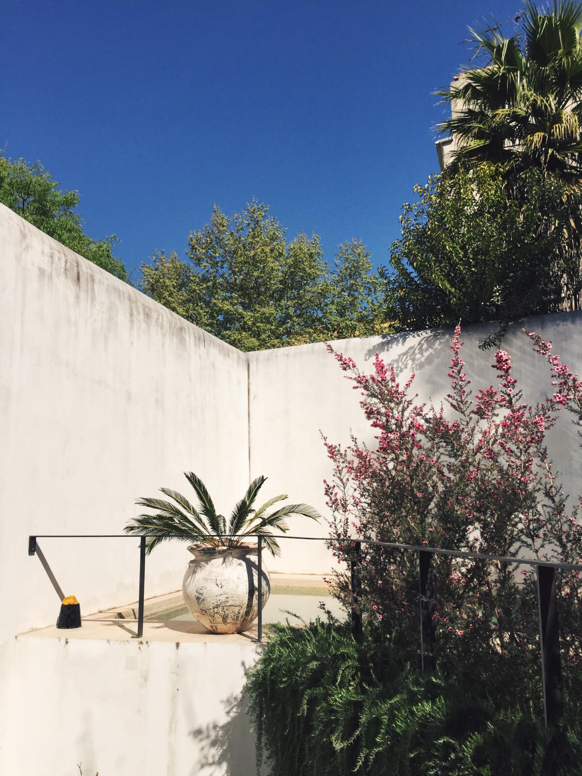 The secret garden